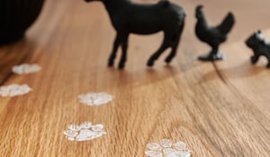 5871_23_Bodahl_046 copy-1